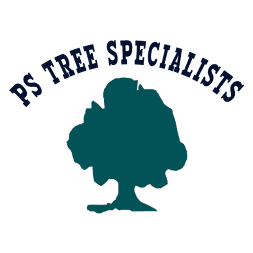 ps-tree-specialists-tree-surgeons-blackheath-village